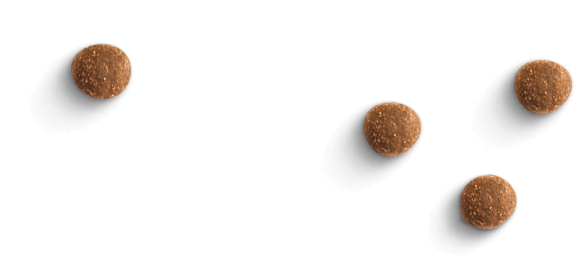 PLB animal food image