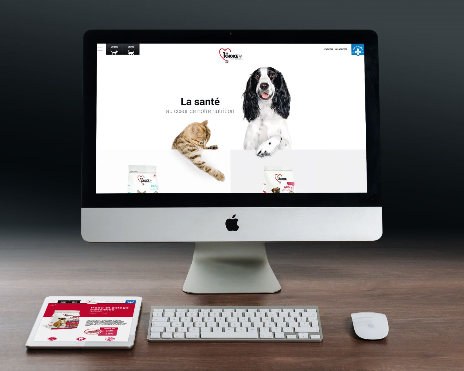 PLB single blog image