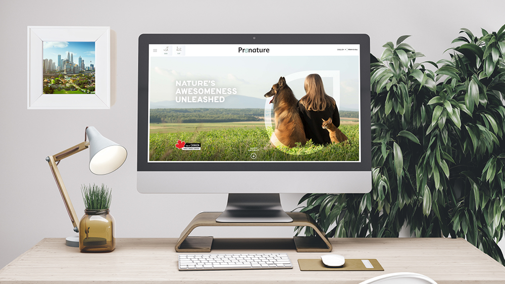 PLB single blog image