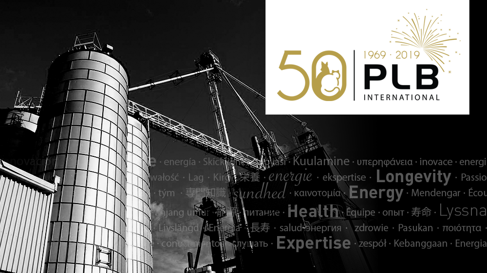 PLB single blog image