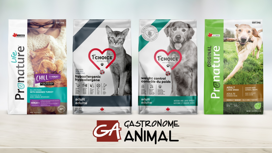 PLB blog image thumbnail